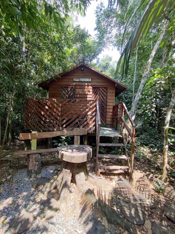 Refugio Samauma Hotel Manaus Buitenkant foto