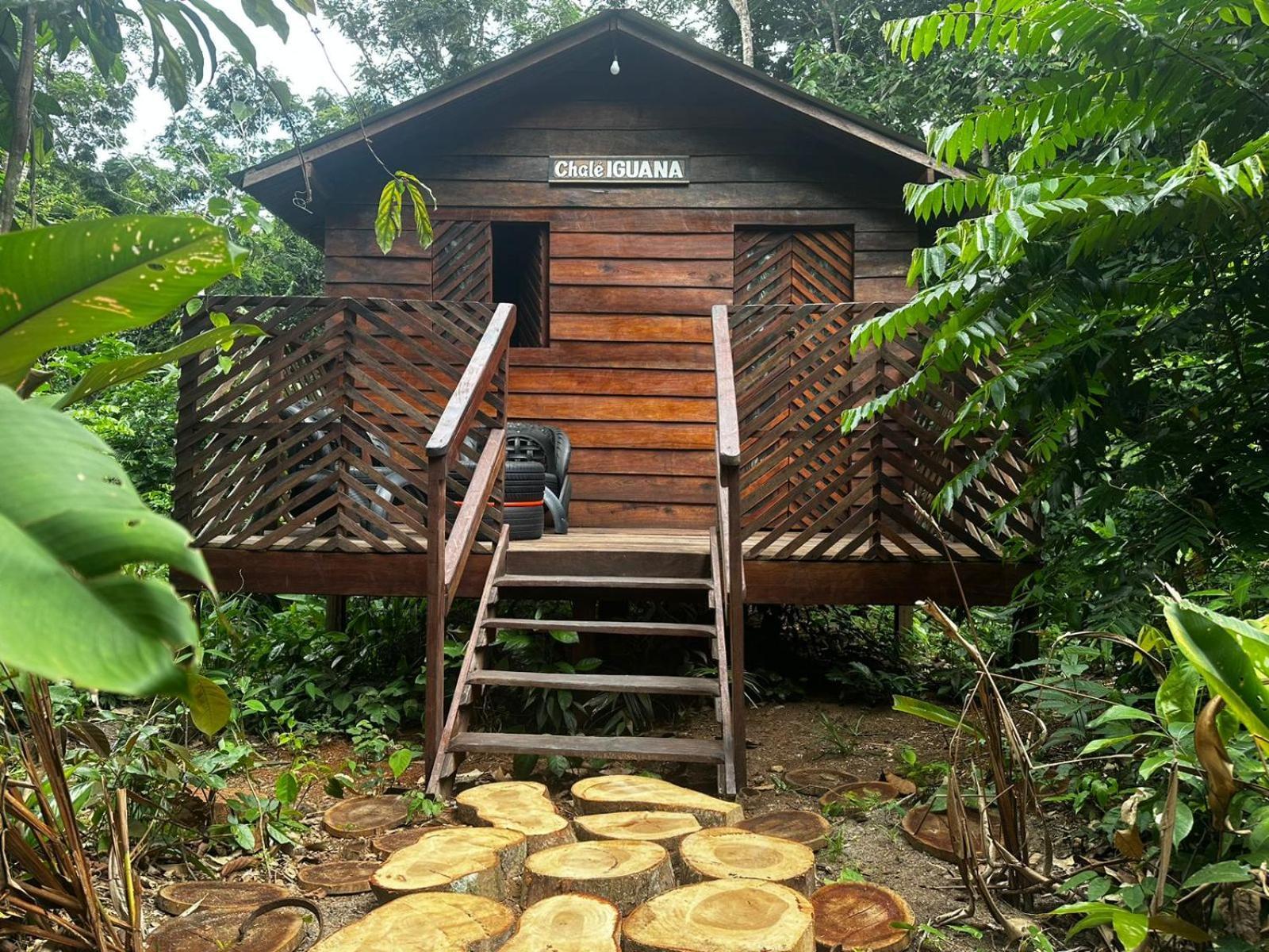 Refugio Samauma Hotel Manaus Buitenkant foto